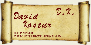 David Kostur vizit kartica
